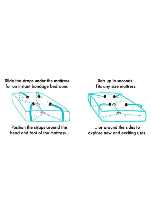 Bed & Beyond